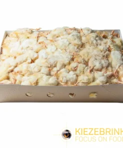 Eendagskuikens 1KG